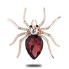 2016 Popular Cute Big Spider Brooch Gold Plated Zircon Crystal Luxury CC  Brooches  For Women Choose Fashion Jewelry Good Gift - maciej-store